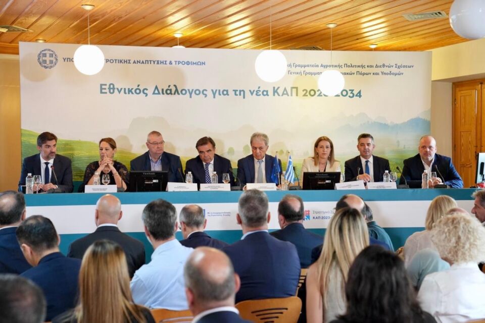 sxoinas metsovo