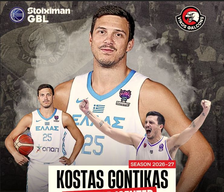 gontikas vikos