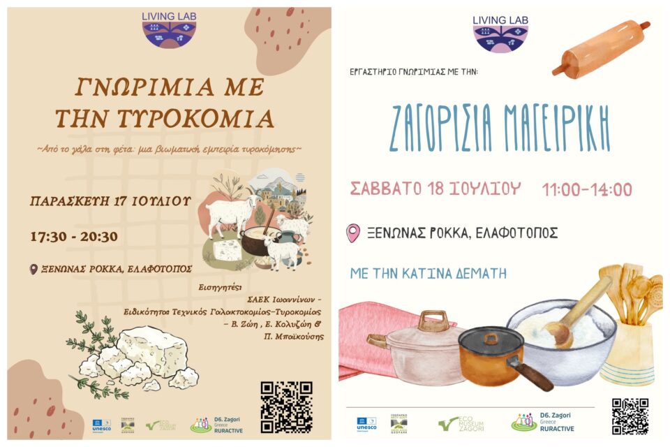 zagori ergasthria