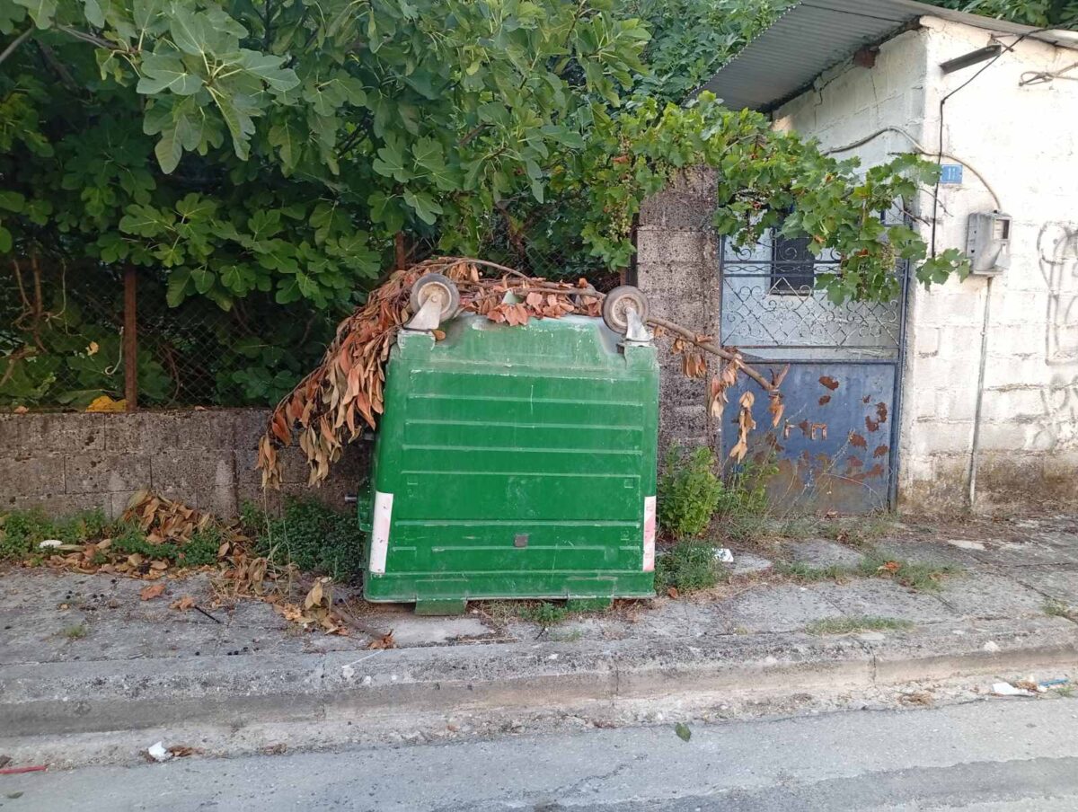 kados aporrimmatwn anapoda dhmos iwannitwn scaled
