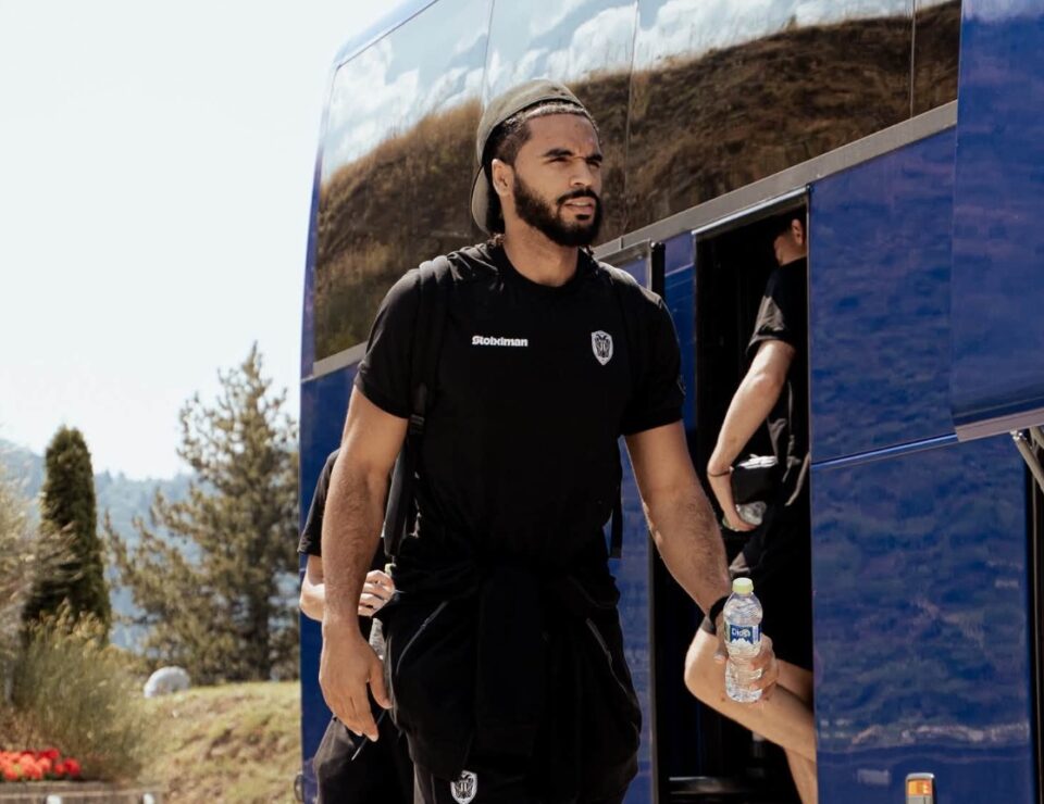 paok metsovo