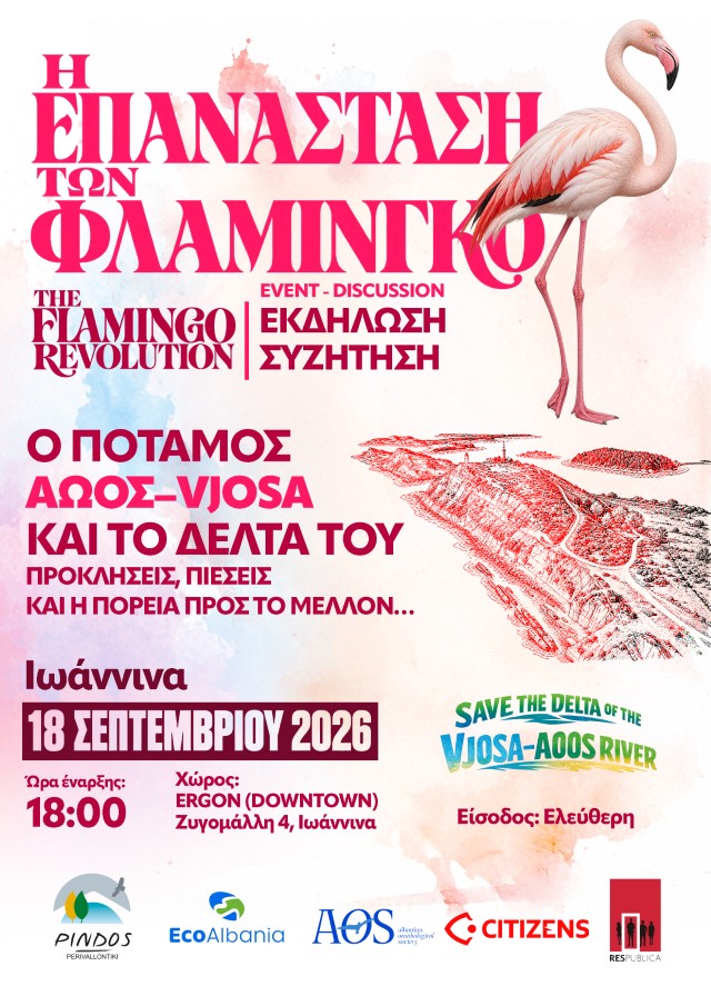 flamingo in ioannina Custom
