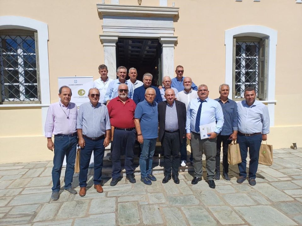 kede tsirogiannhs