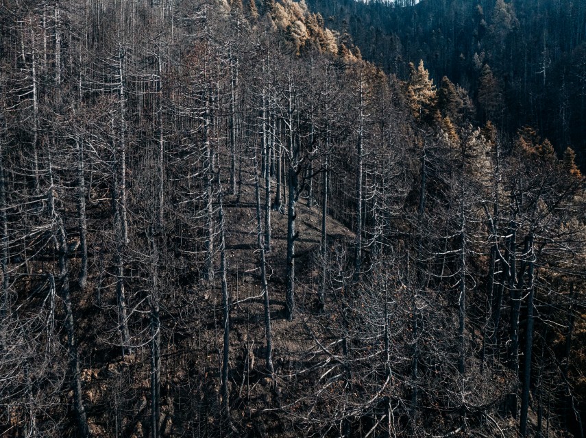 konitsa kamena Custom