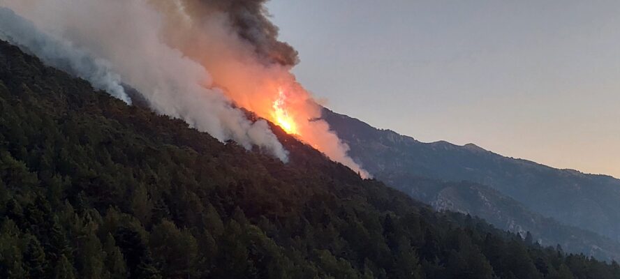 konitsa pyrkagia 2