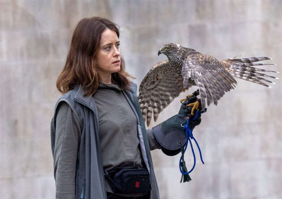 H is for Hawk 3