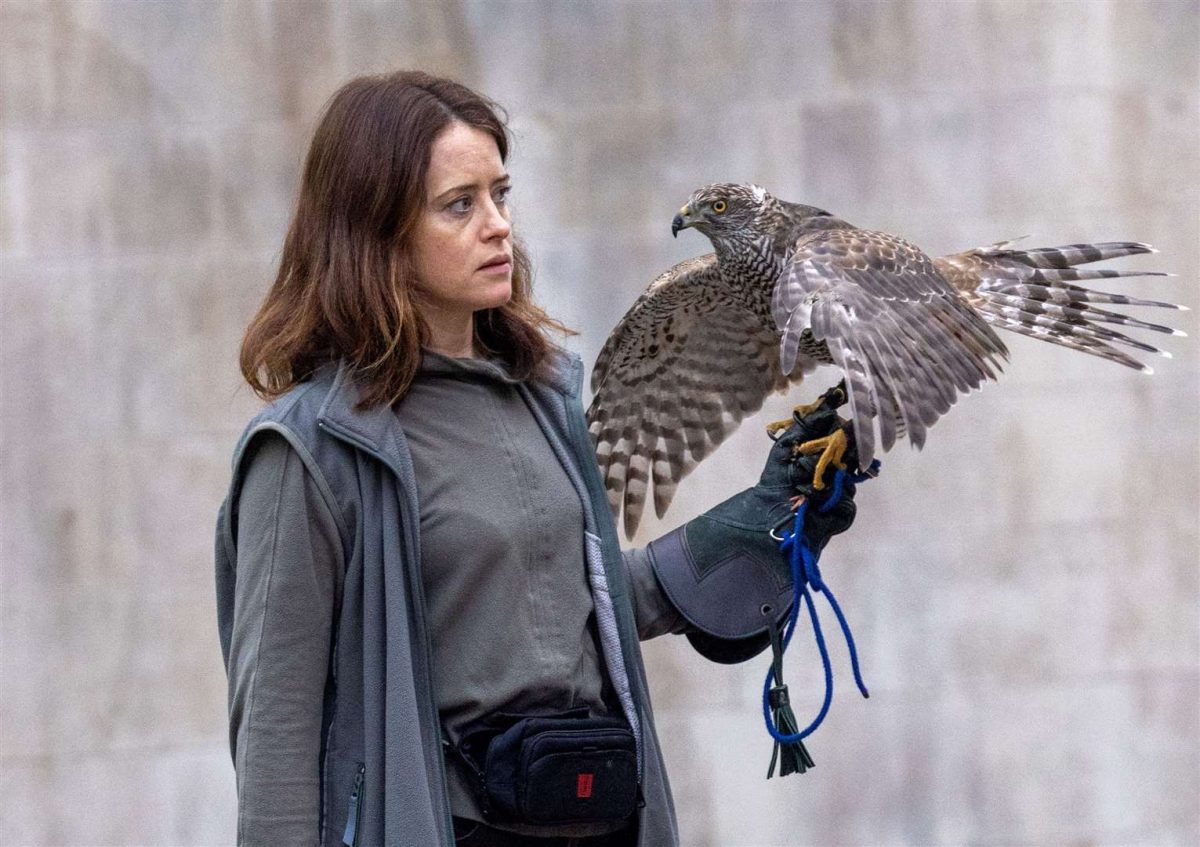 H is for Hawk 3 scaled